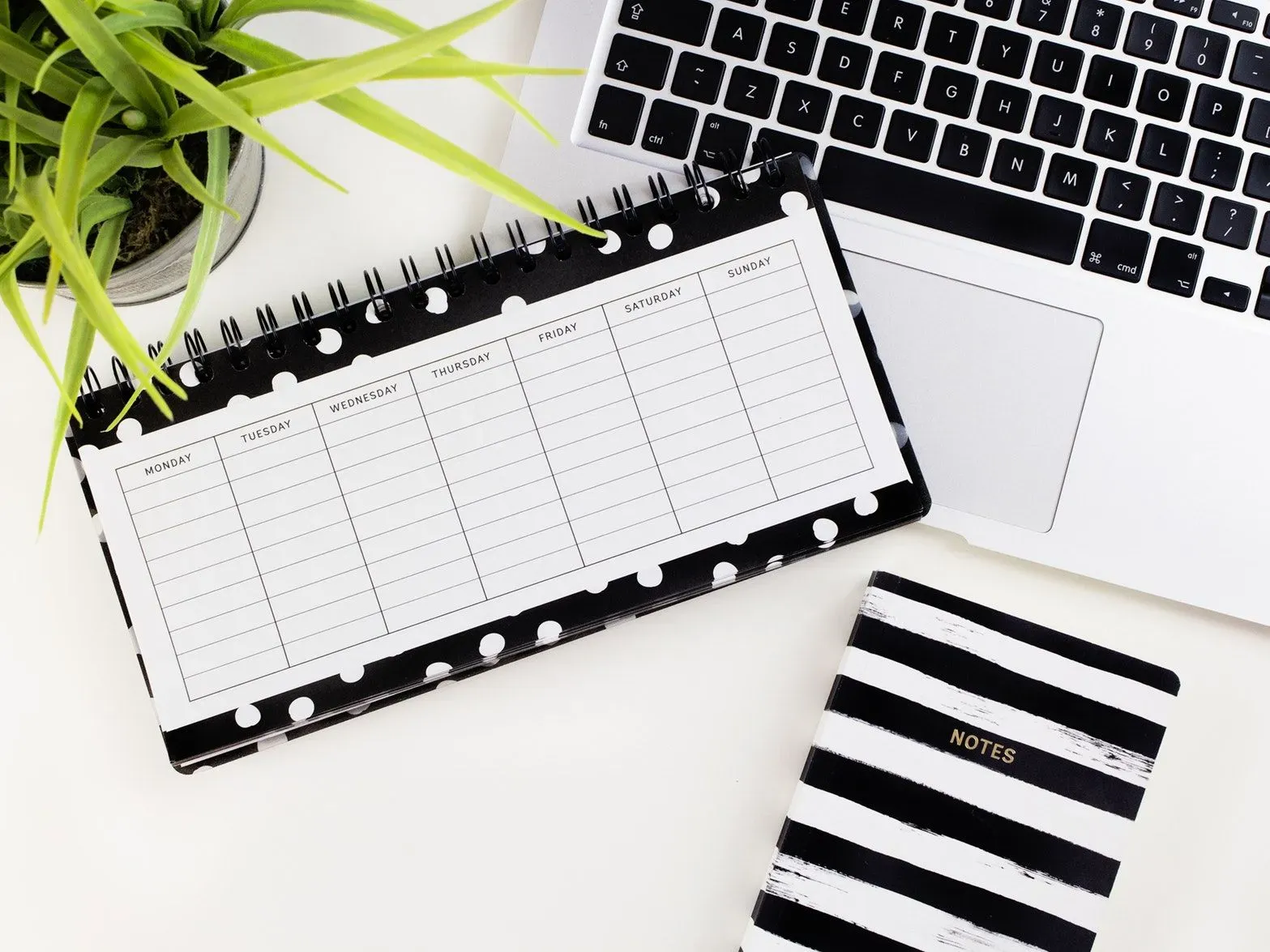 how-to-set-up-lead-times