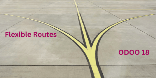Flexible Inventory Routes 