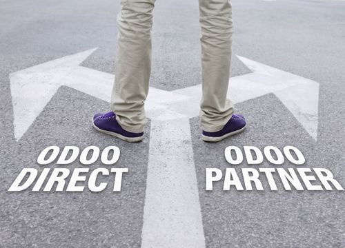 Odoo Implementation Partner vs Odoo Direct: Which Should You Choose?